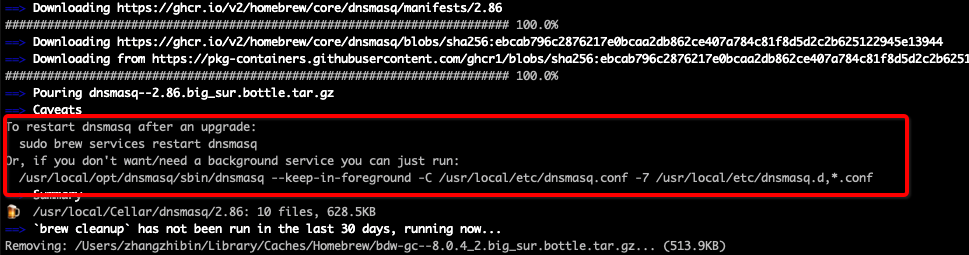 setup-dnsmasq-on-mac-for-custom-dns-01