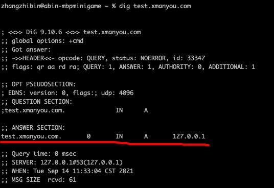 setup-dnsmasq-on-mac-for-custom-dns-03