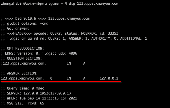 setup-dnsmasq-on-mac-for-custom-dns-04